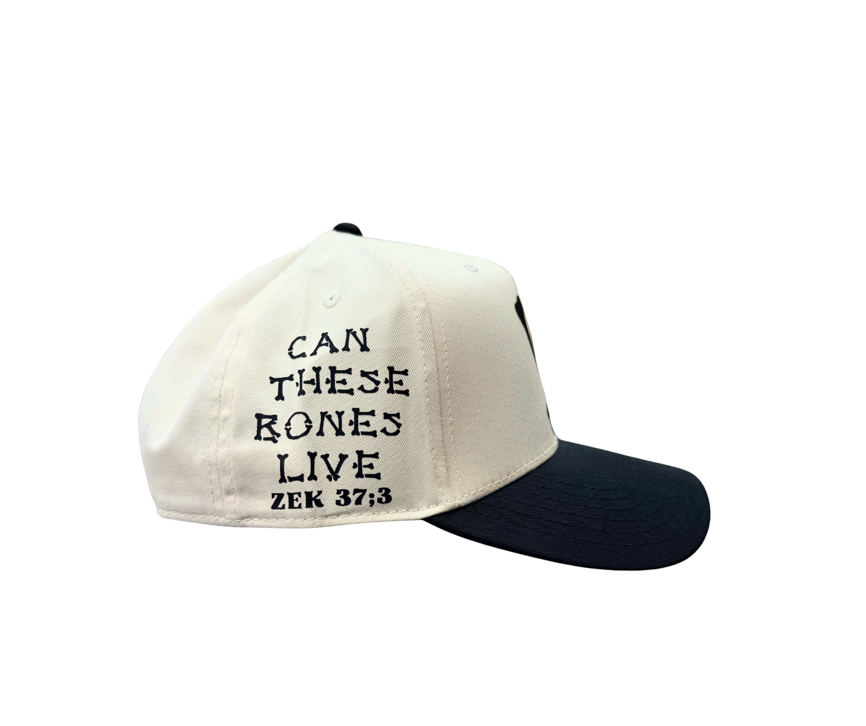 Dry Bones SnapBack